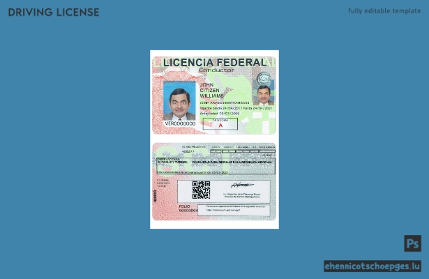 Beispiel für einen mexikanischen Führerschein